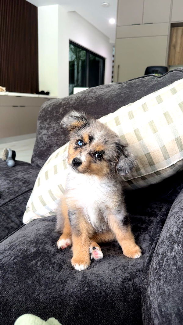 sadie.mckenna image ~ Altpins