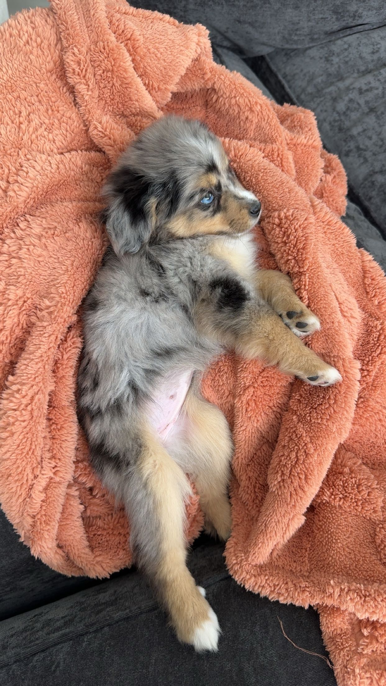 sadie.mckenna snapchat image archive image