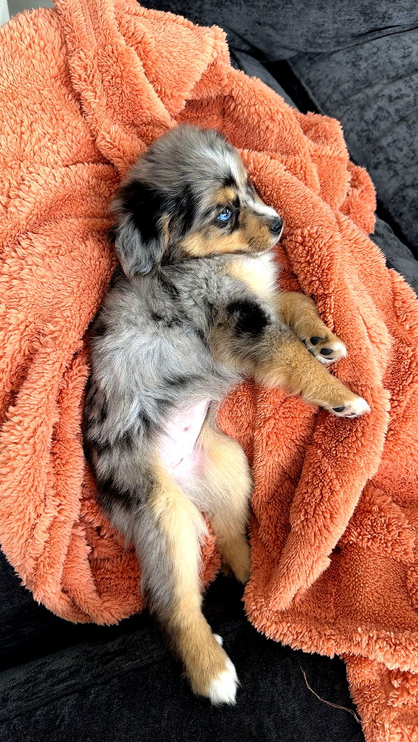 sadie.mckenna image ~ Altpins