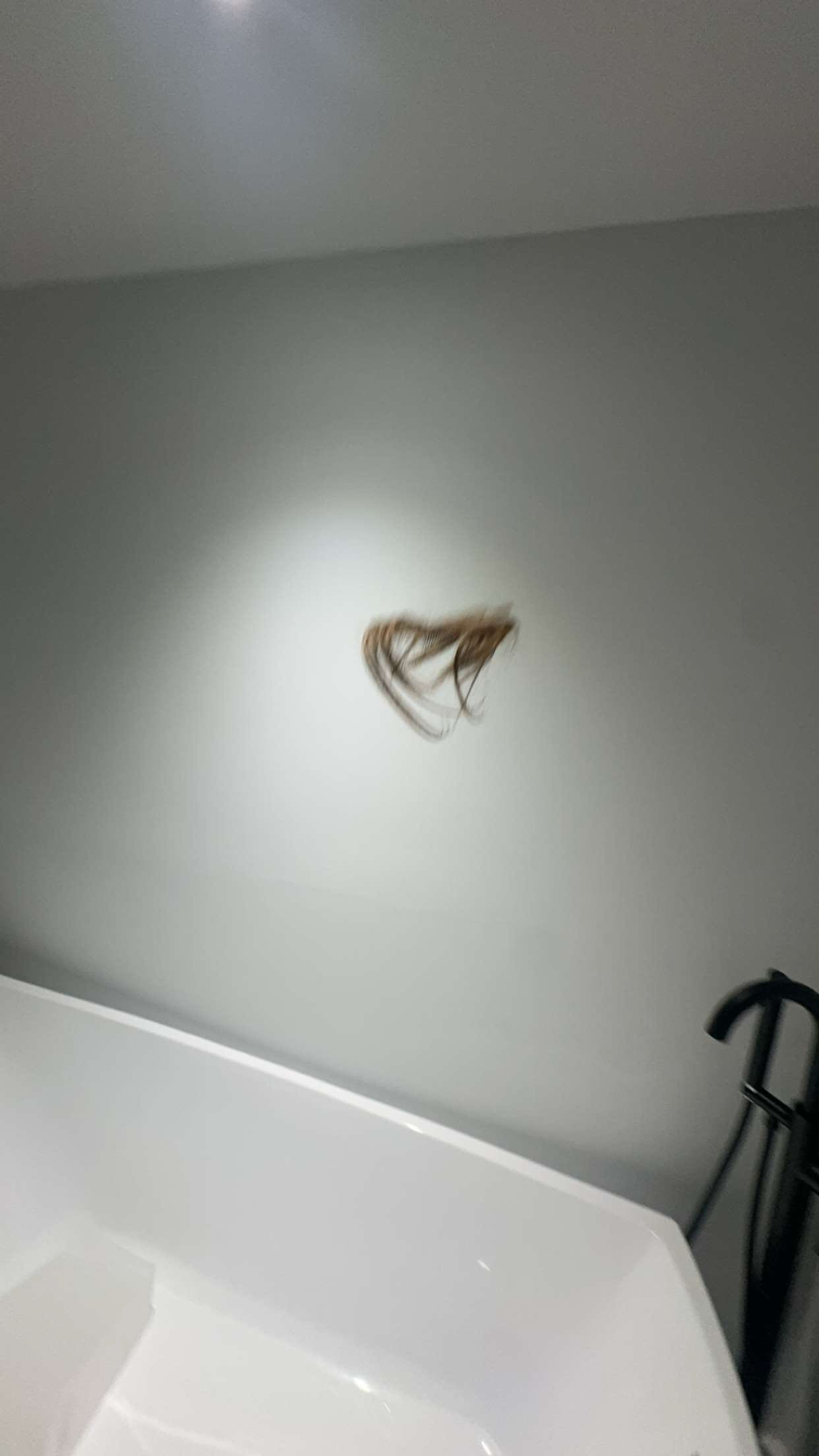 sadie.mckenna snapchat image archive image