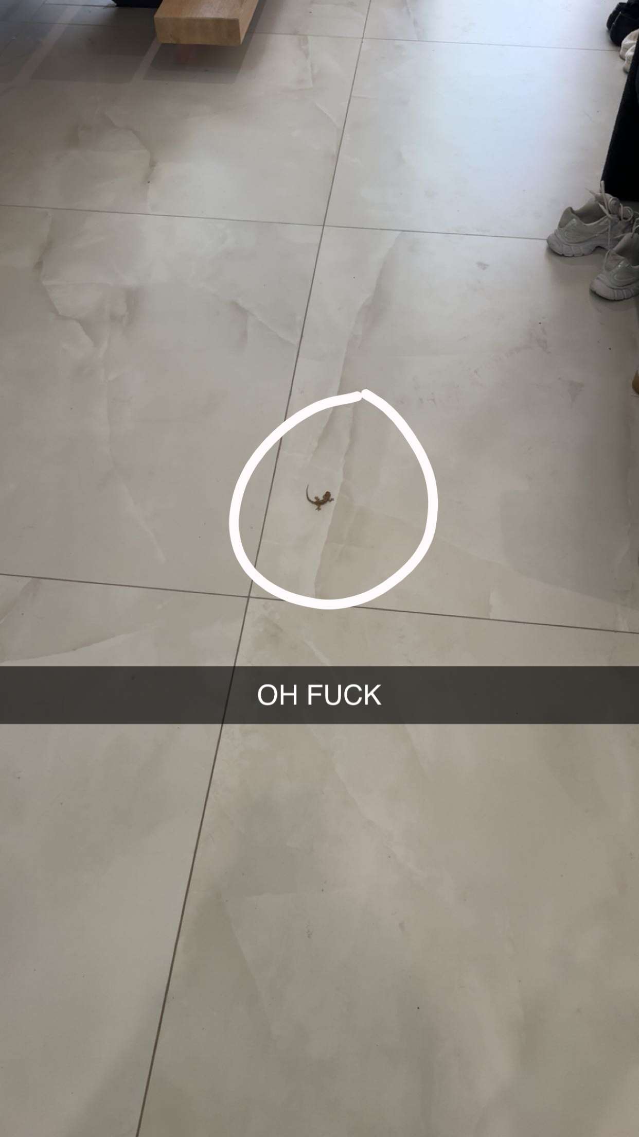 sadie.mckenna snapchat image archive image