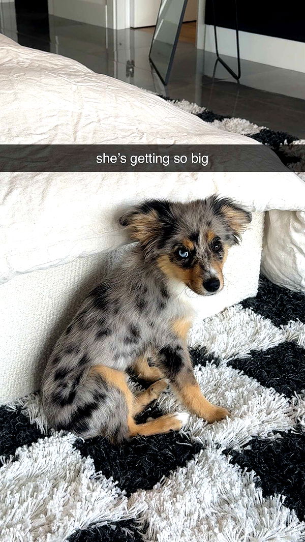 sadie.mckenna image ~ Altpins