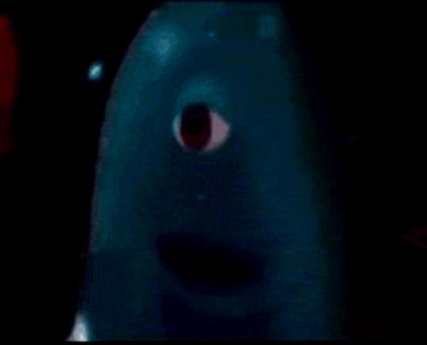 sadie.mckenna image ~ Altpins