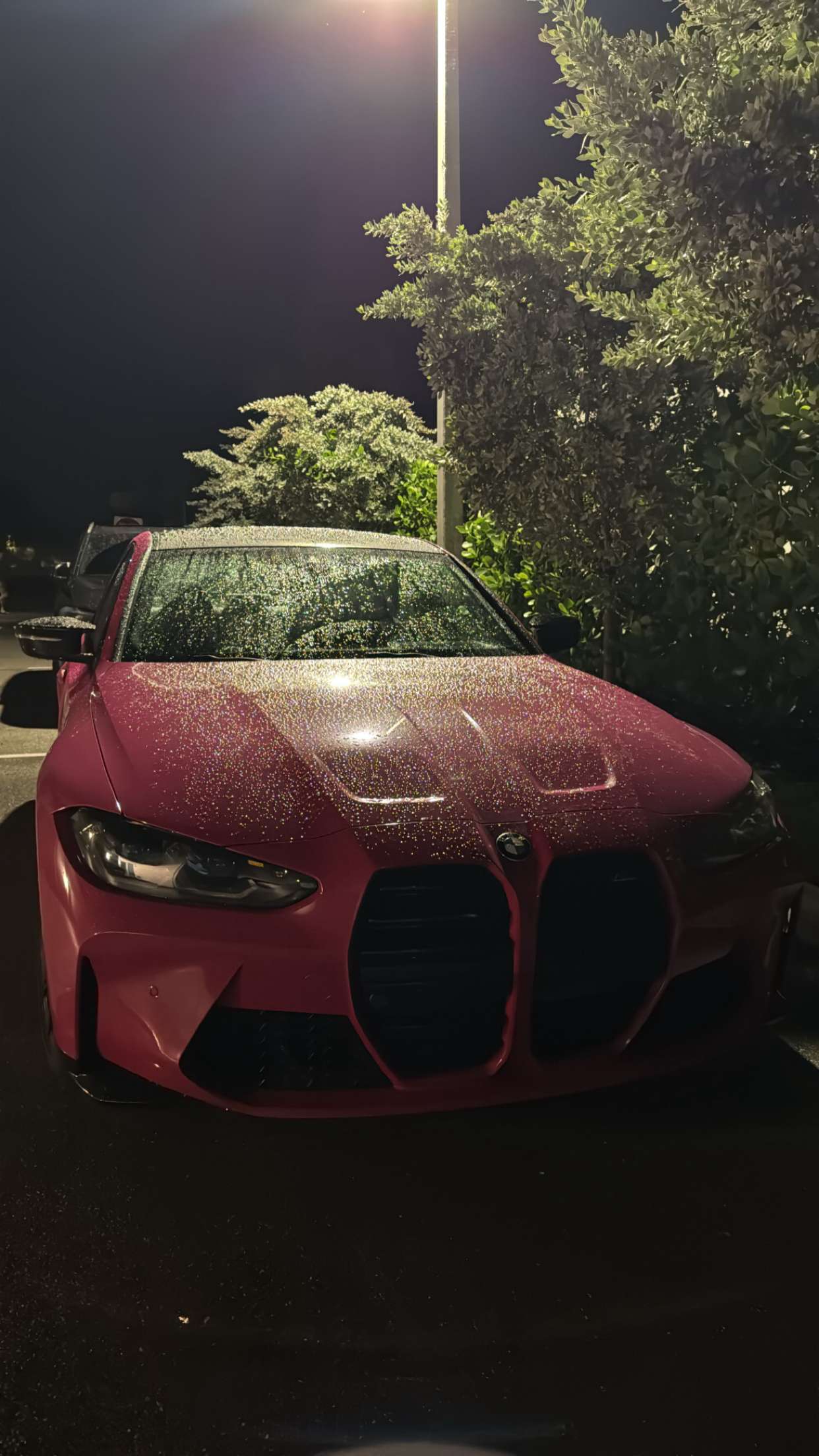 sadie.mckenna snapchat image archive image