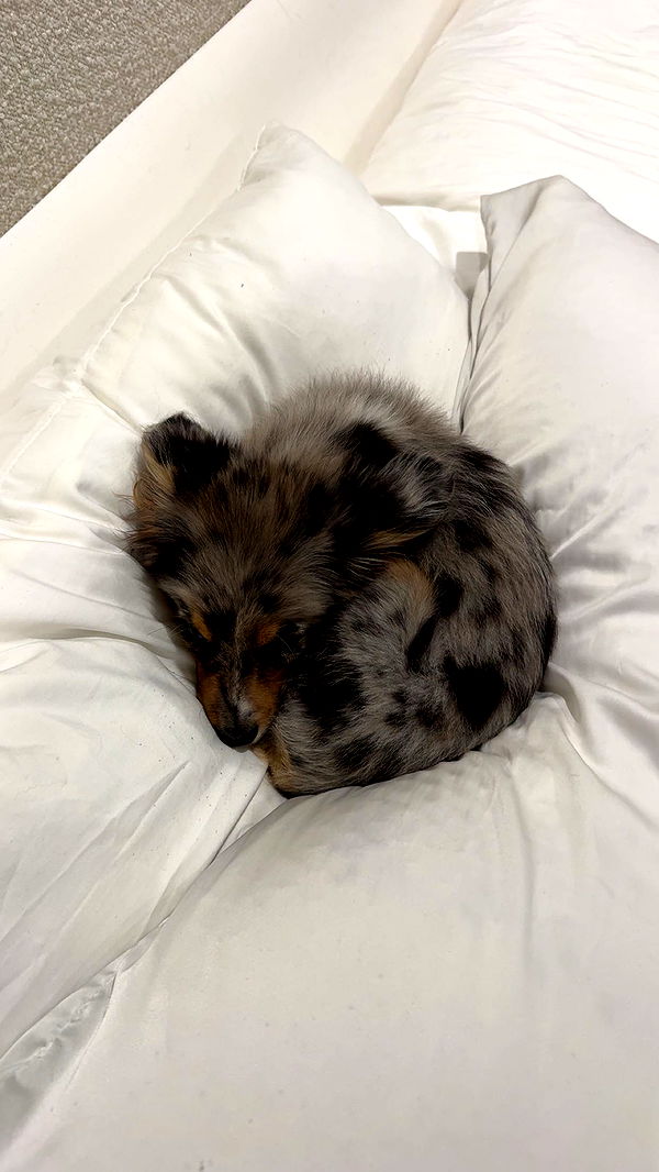 sadie.mckenna image ~ Altpins