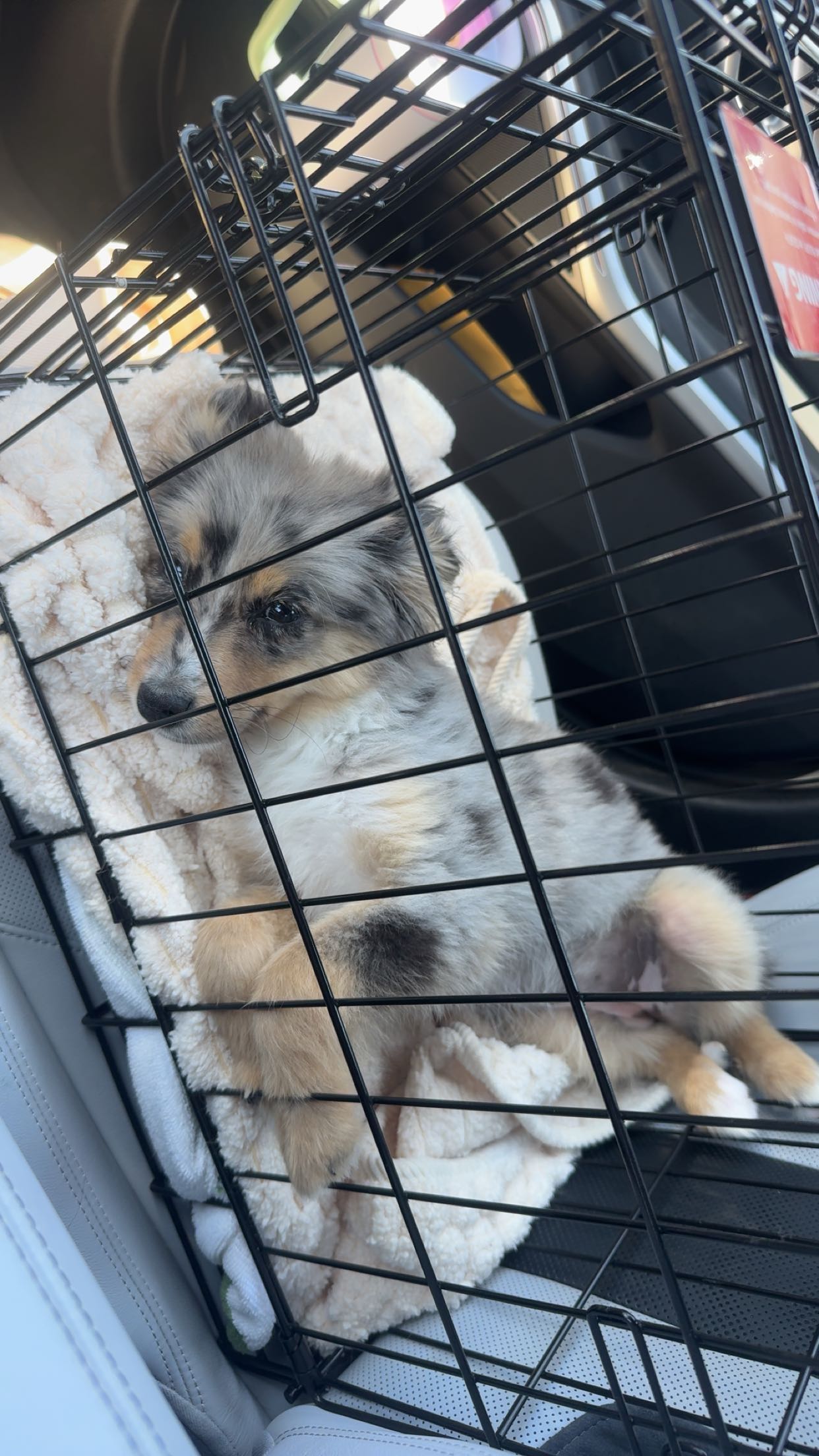 sadie.mckenna snapchat image archive image