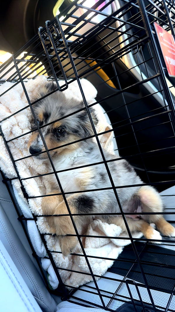 sadie.mckenna image ~ Altpins