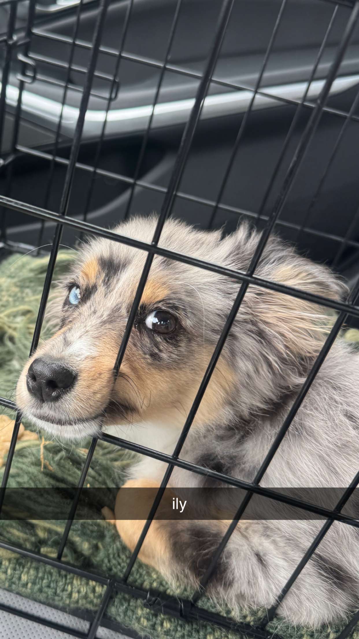 sadie.mckenna snapchat image archive image