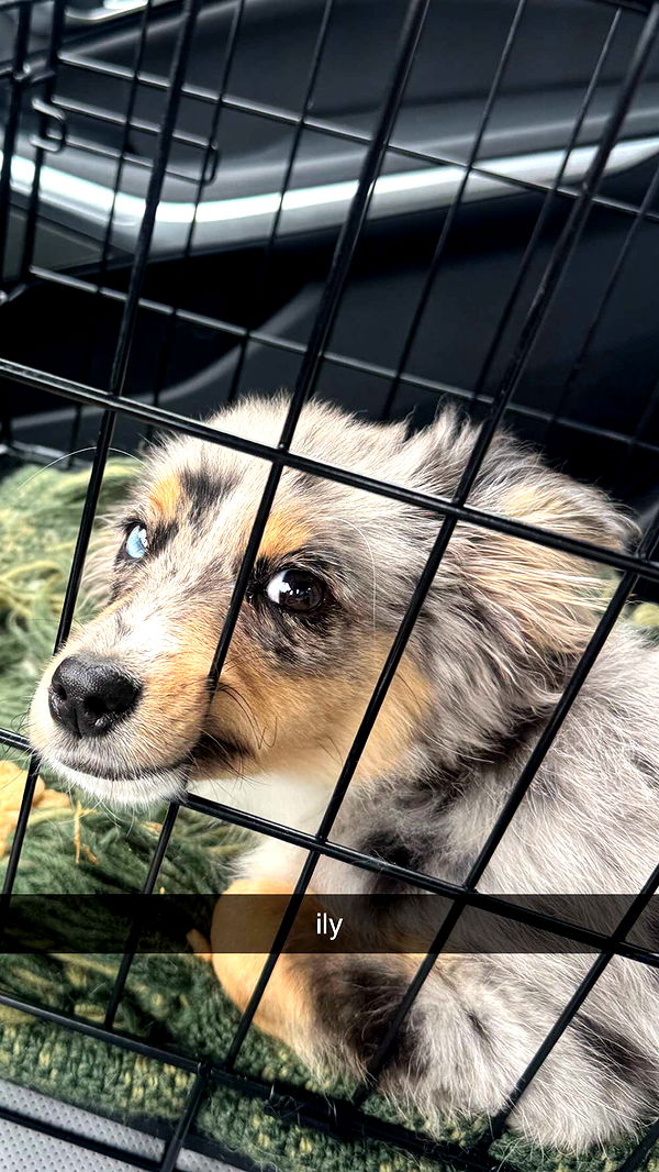 sadie.mckenna image ~ Altpins