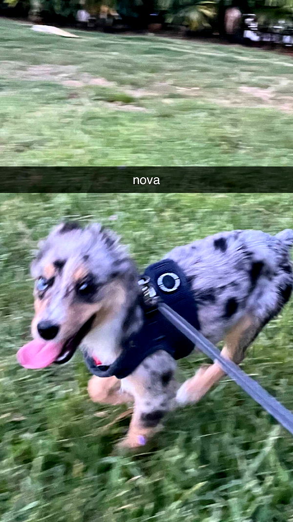 sadie.mckenna image ~ Altpins