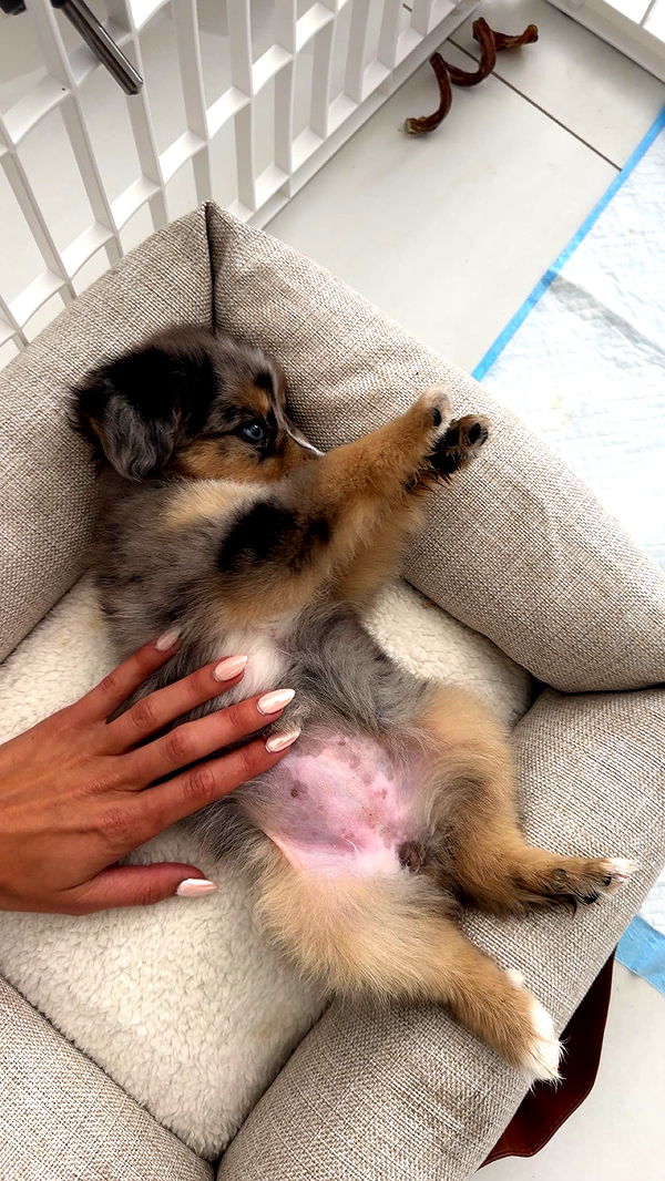 sadie.mckenna image ~ Altpins