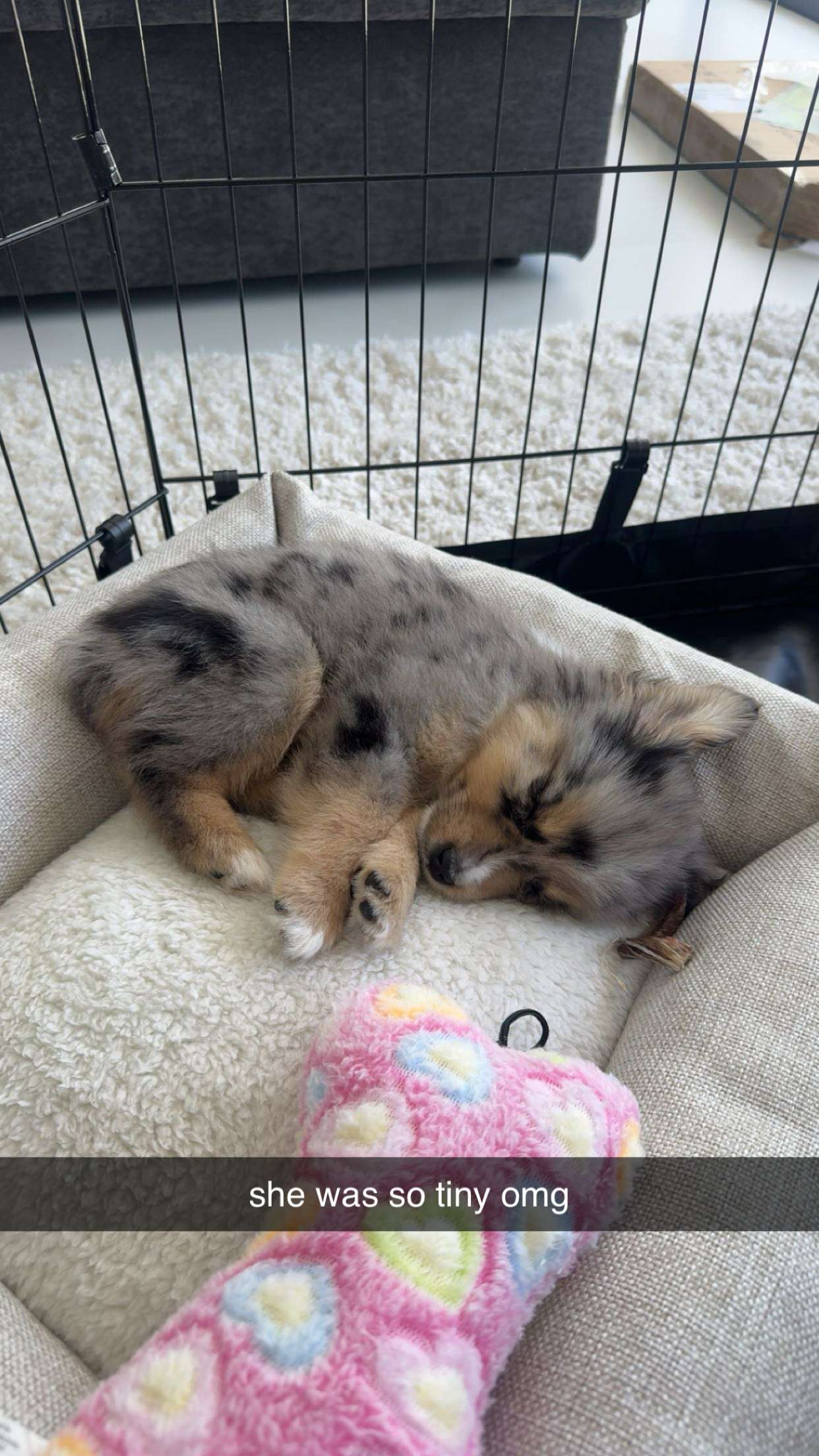 sadie.mckenna snapchat image archive image