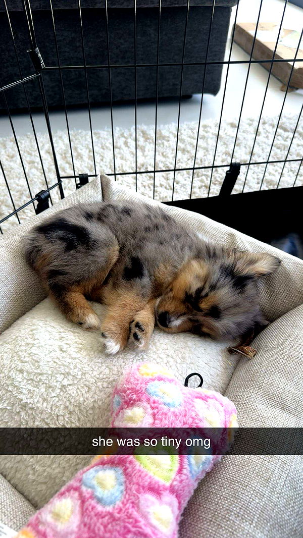 sadie.mckenna image ~ Altpins