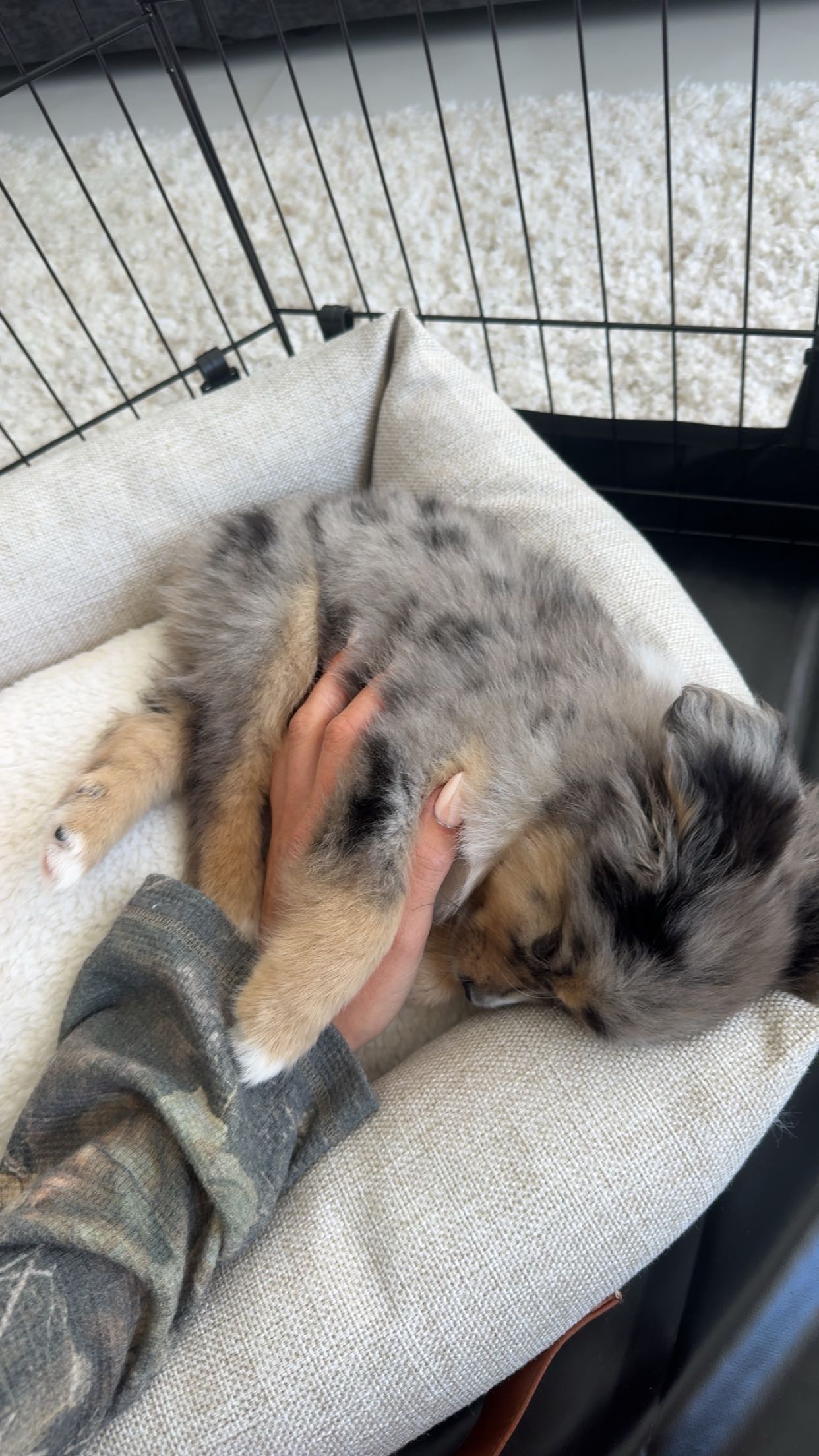 sadie.mckenna snapchat image archive image