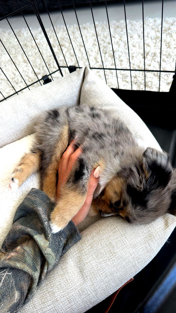 sadie.mckenna image ~ Altpins