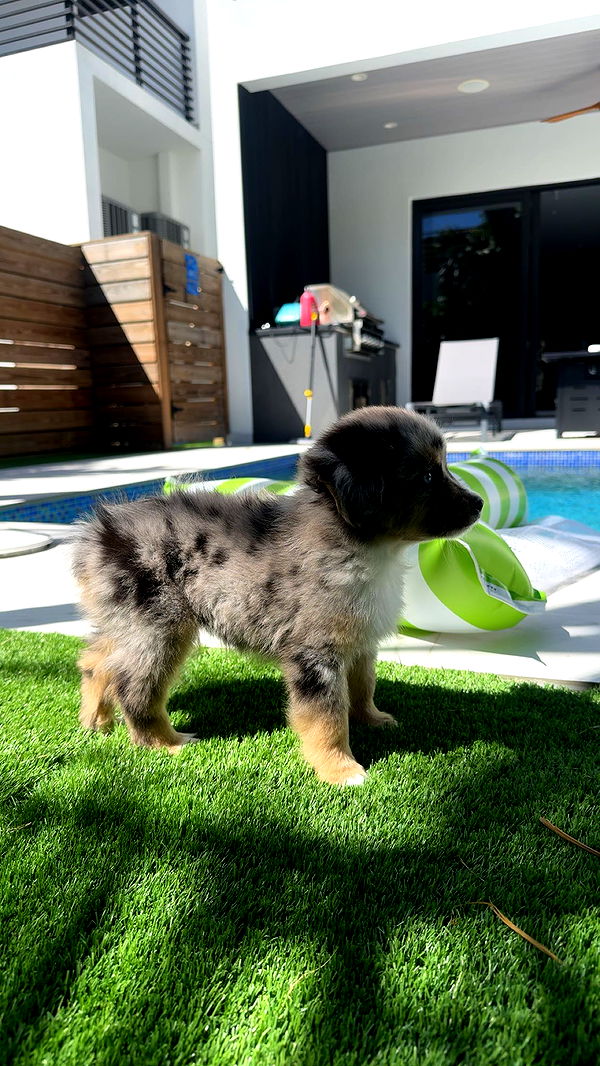 sadie.mckenna image ~ Altpins