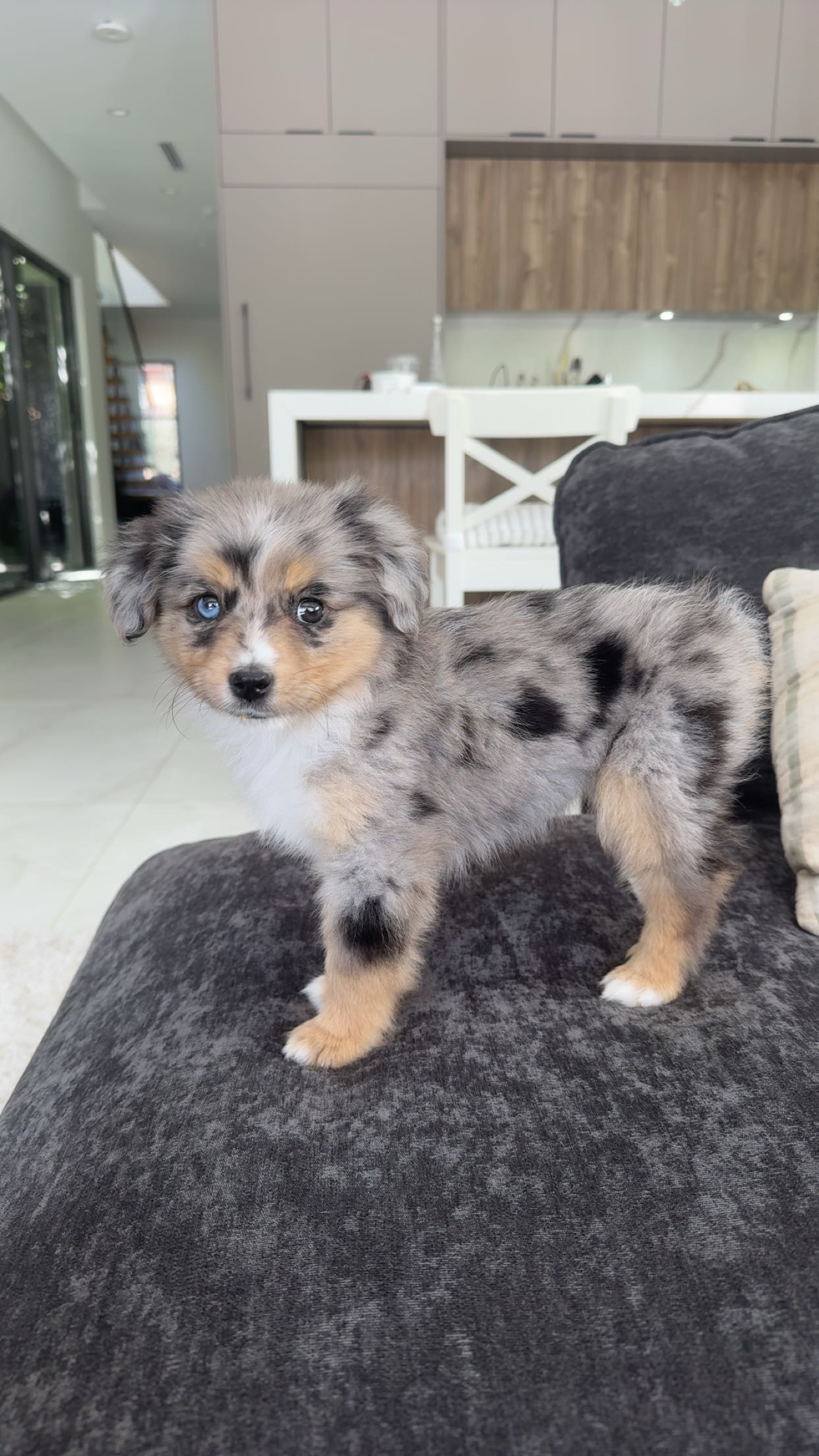 sadie.mckenna snapchat image archive image