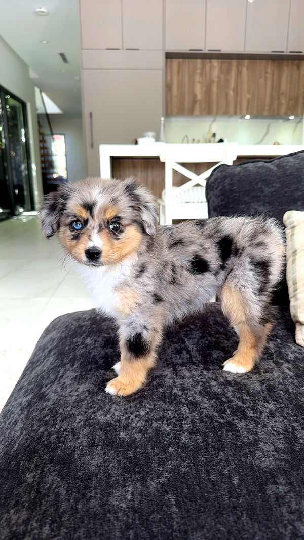 sadie.mckenna image ~ Altpins