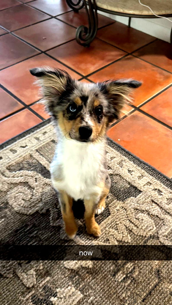 sadie.mckenna image ~ Altpins