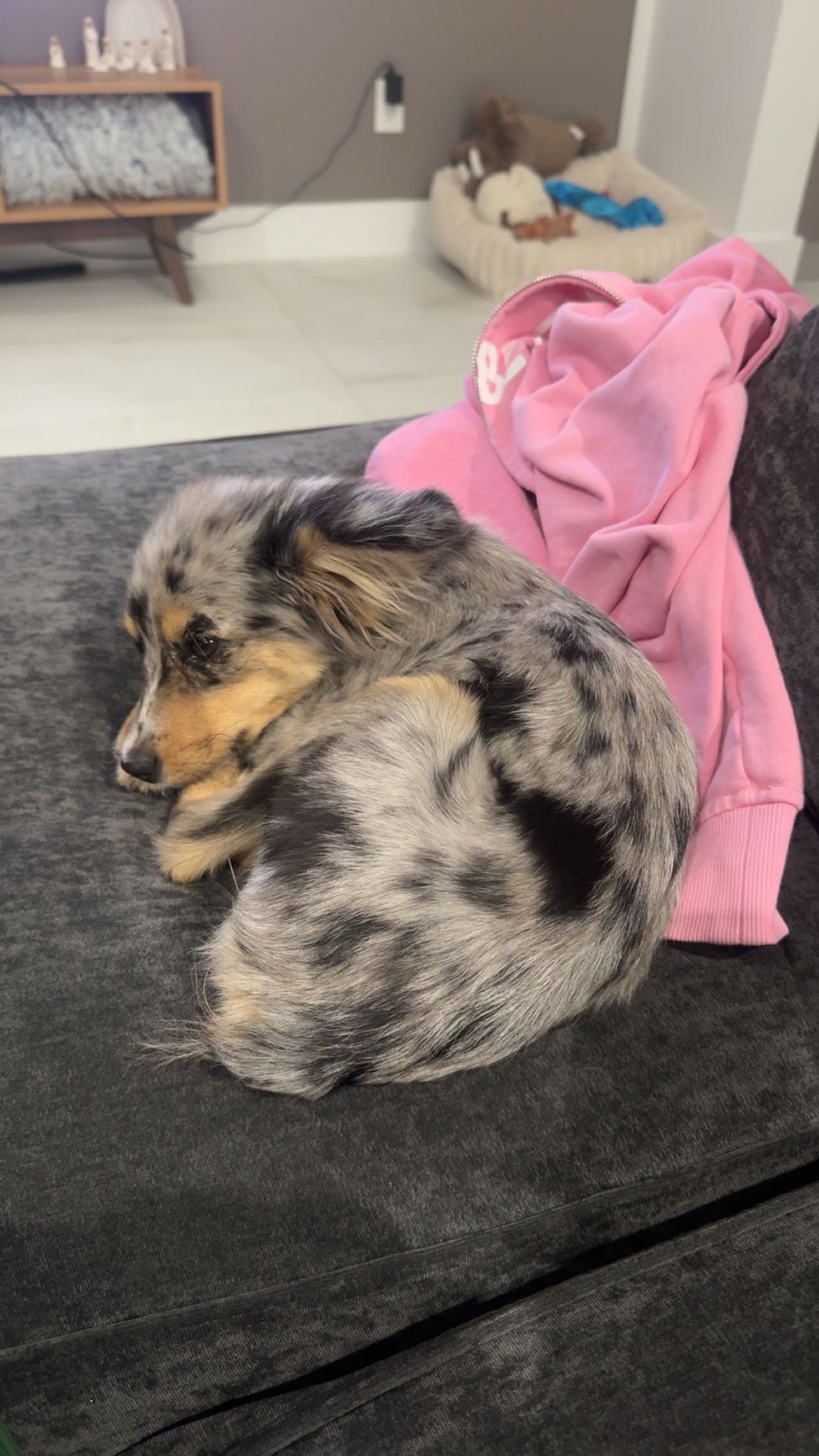 sadie.mckenna snapchat image archive image