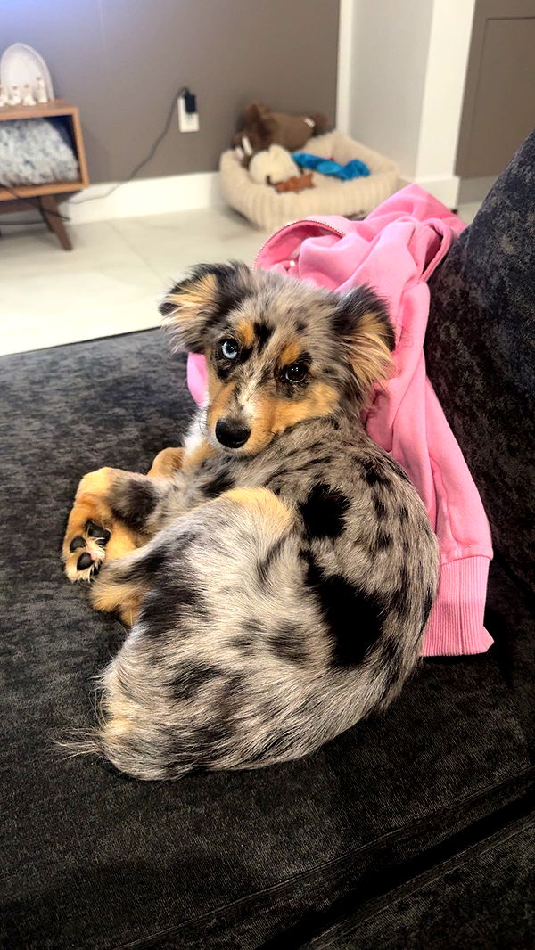 sadie.mckenna image ~ Altpins