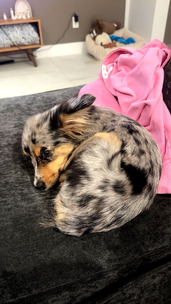 sadie.mckenna image ~ Altpins