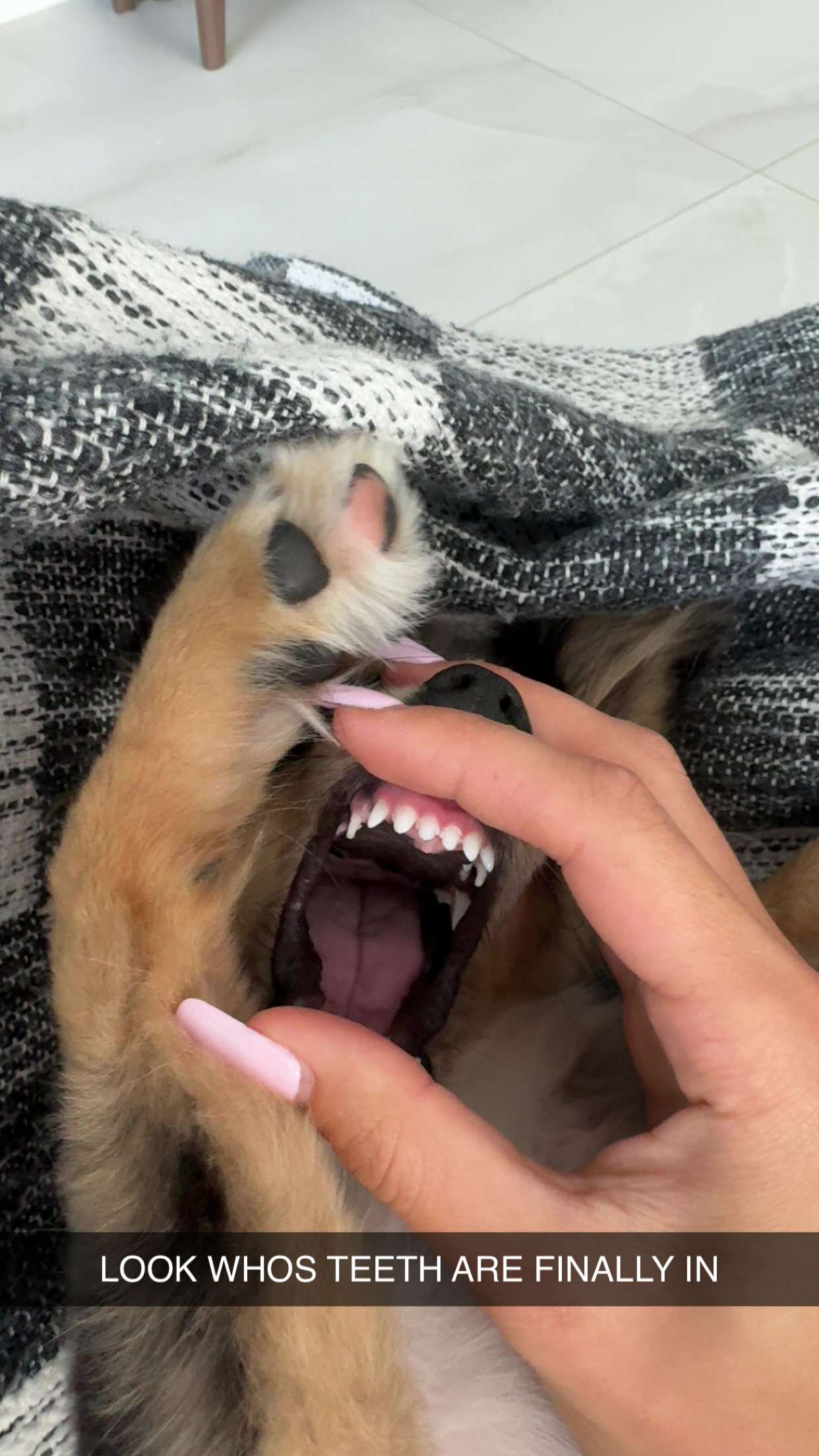 sadie.mckenna snapchat image archive image