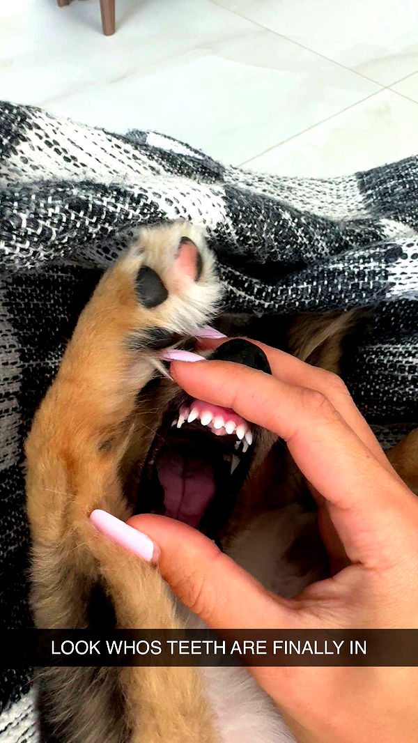 sadie.mckenna image ~ Altpins