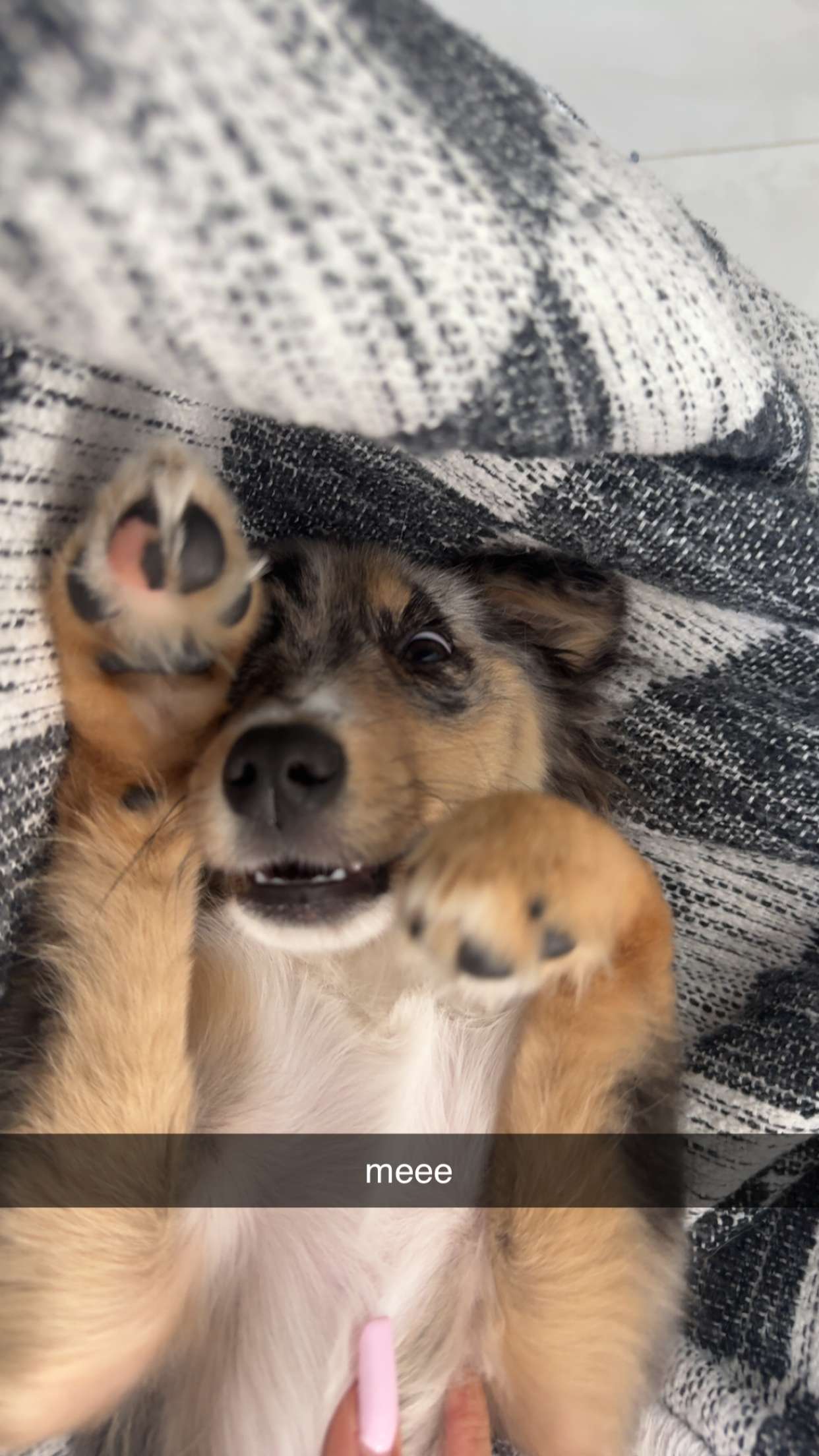 sadie.mckenna snapchat image archive image