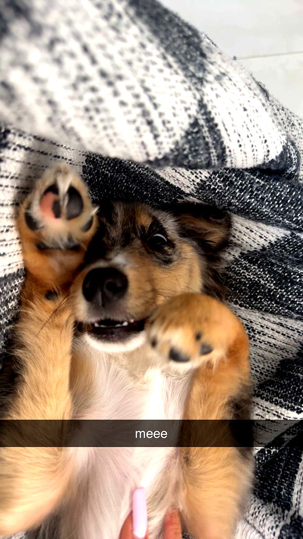 sadie.mckenna image ~ Altpins