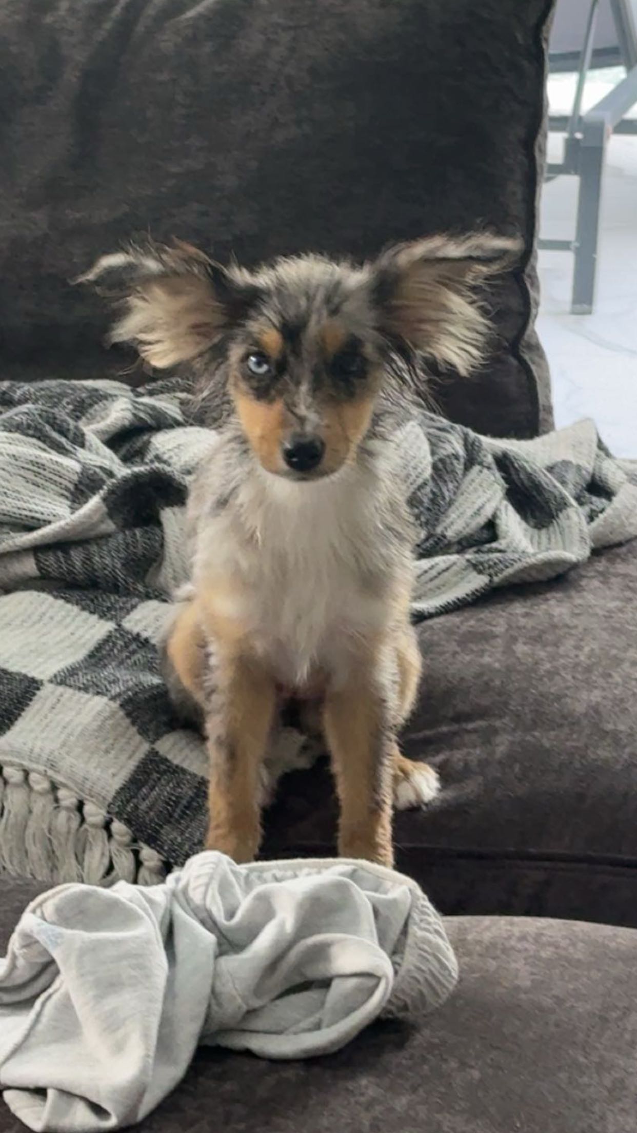 sadie.mckenna snapchat image archive image