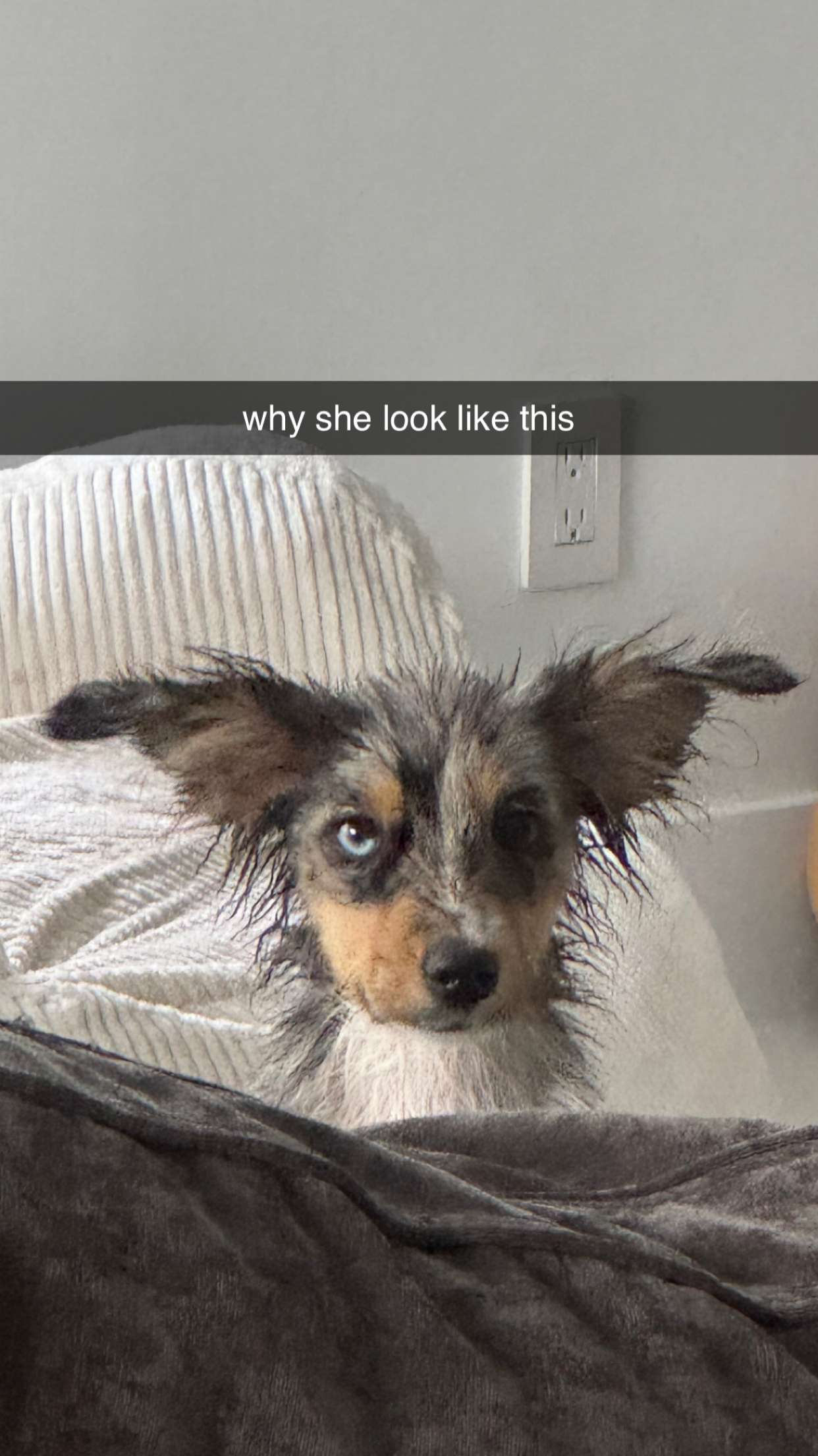 sadie.mckenna snapchat image archive image