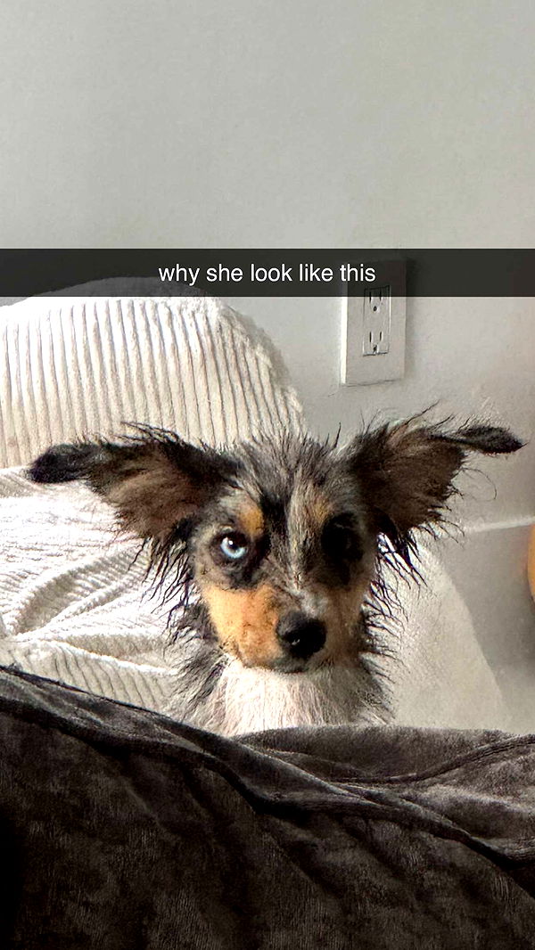 sadie.mckenna image ~ Altpins