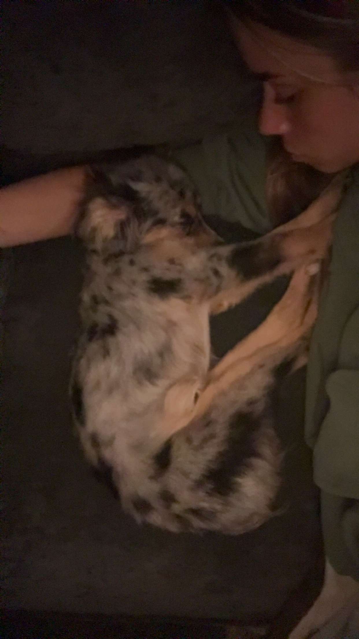 sadie.mckenna snapchat image archive image