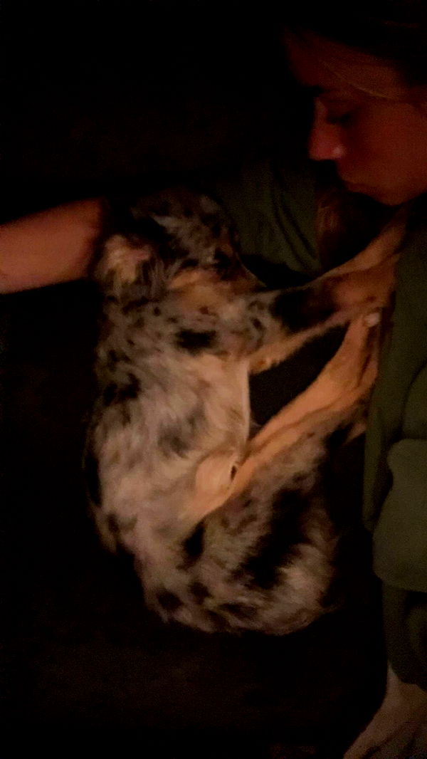 sadie.mckenna image ~ Altpins