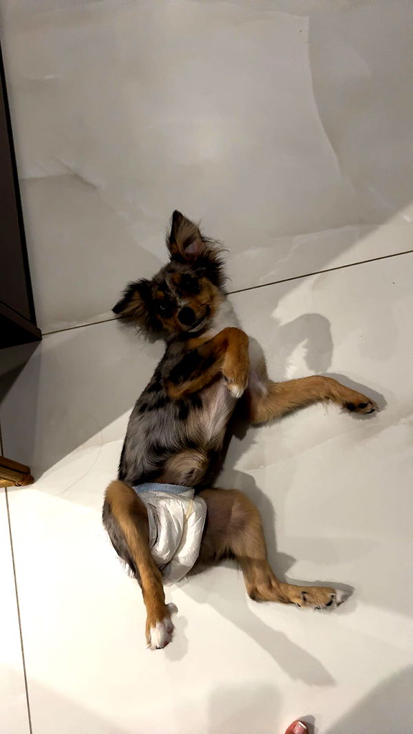 sadie.mckenna image ~ Altpins