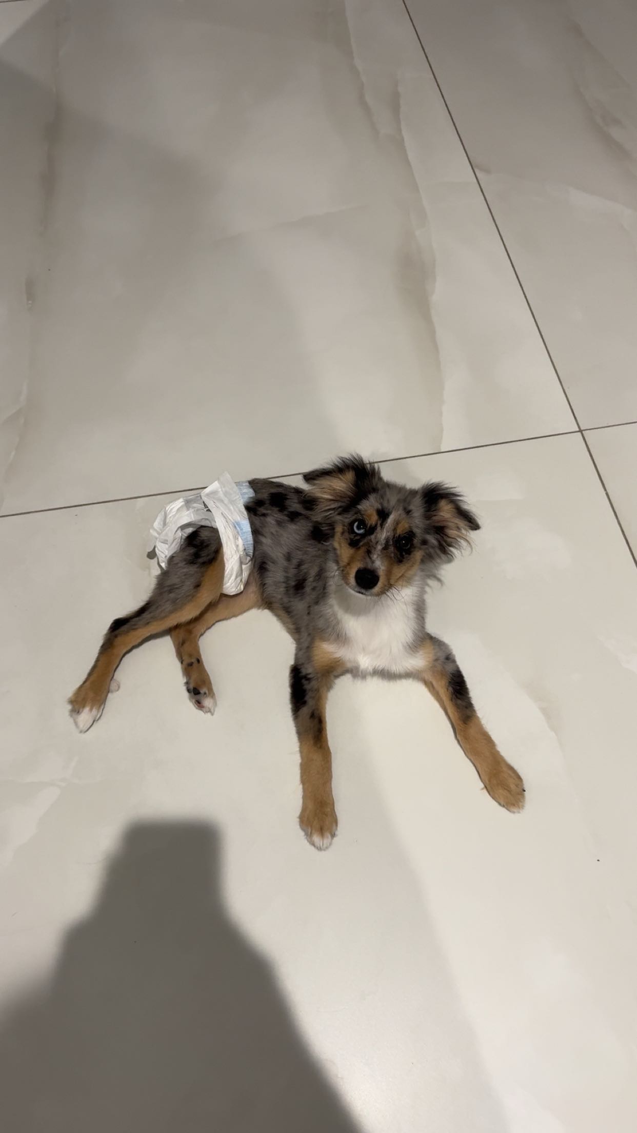 sadie.mckenna snapchat image archive image