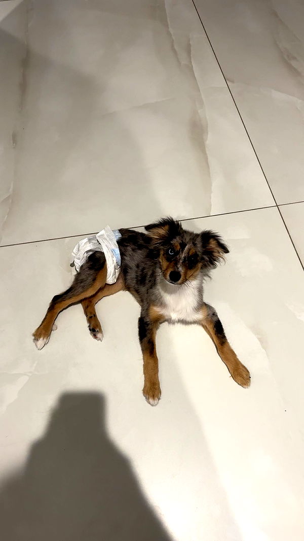 sadie.mckenna image ~ Altpins