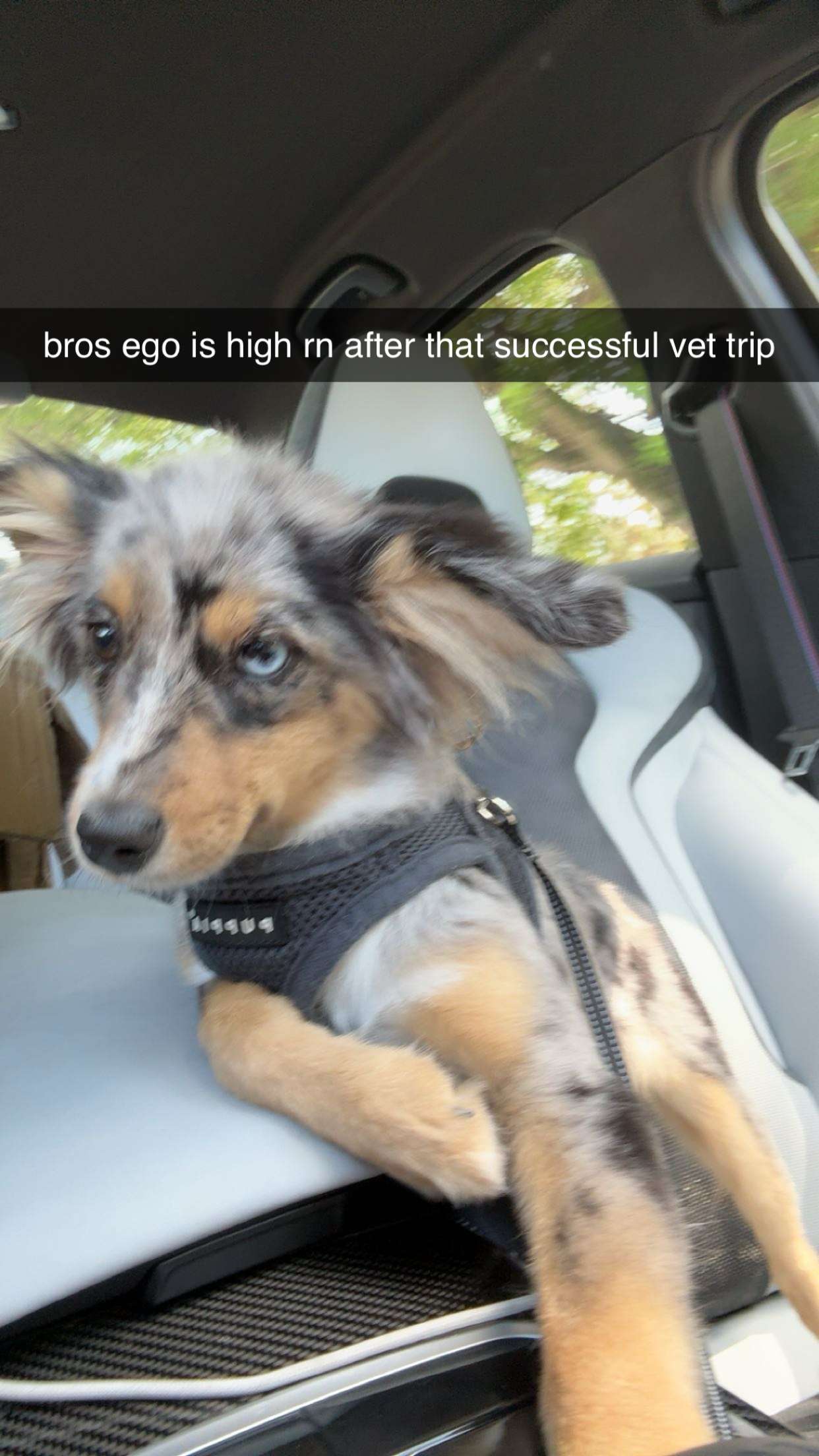 sadie.mckenna snapchat image archive image