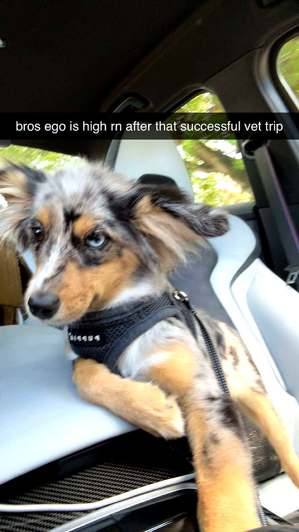 sadie.mckenna image ~ Altpins