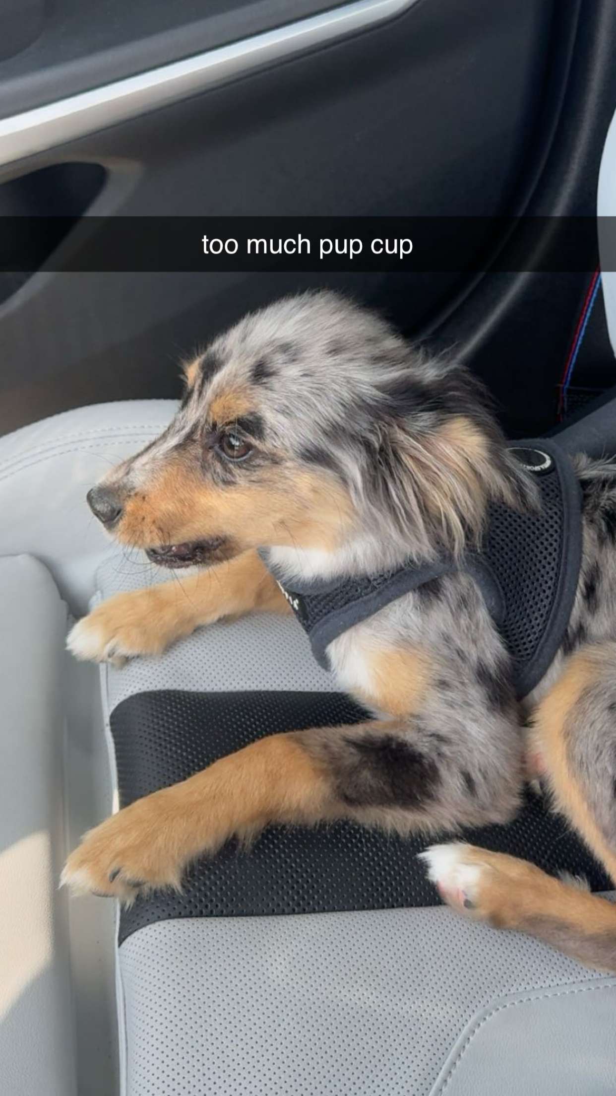 sadie.mckenna snapchat image archive image