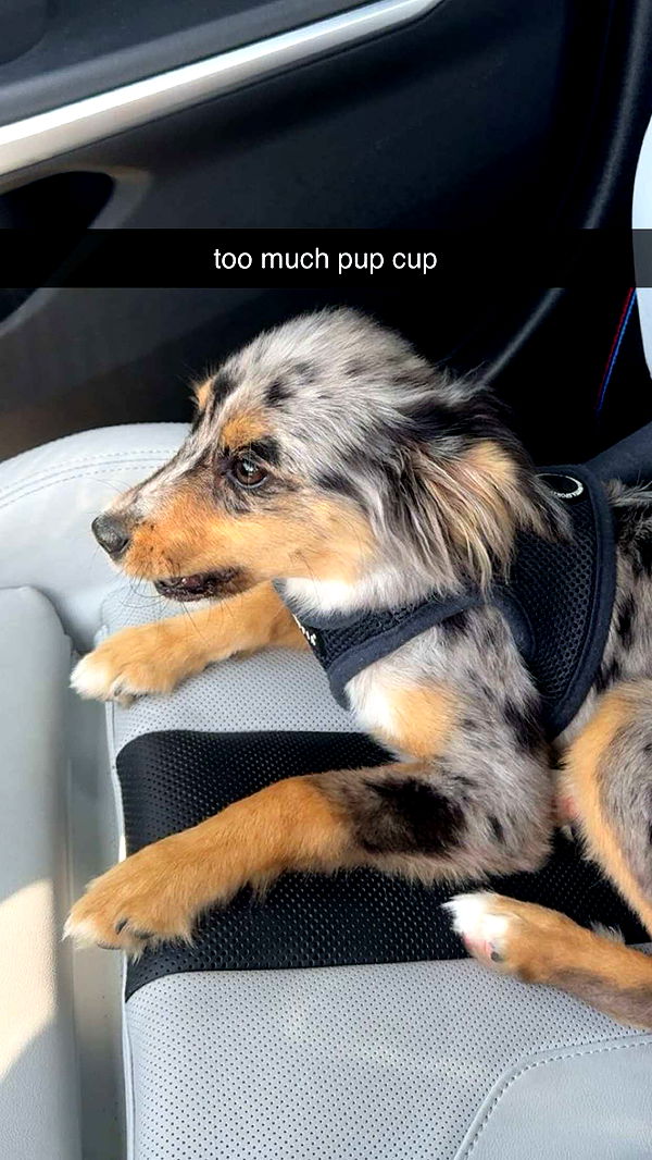 sadie.mckenna image ~ Altpins