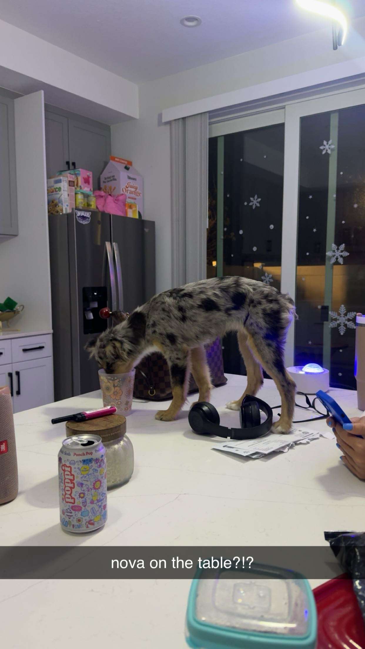 sadie.mckenna snapchat image archive image