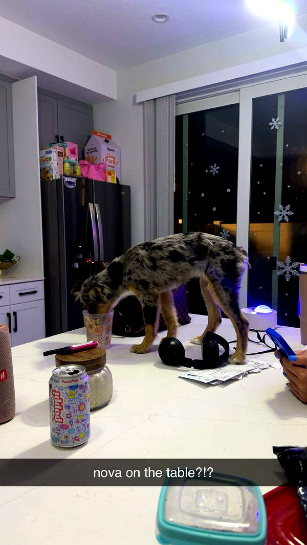 sadie.mckenna image ~ Altpins