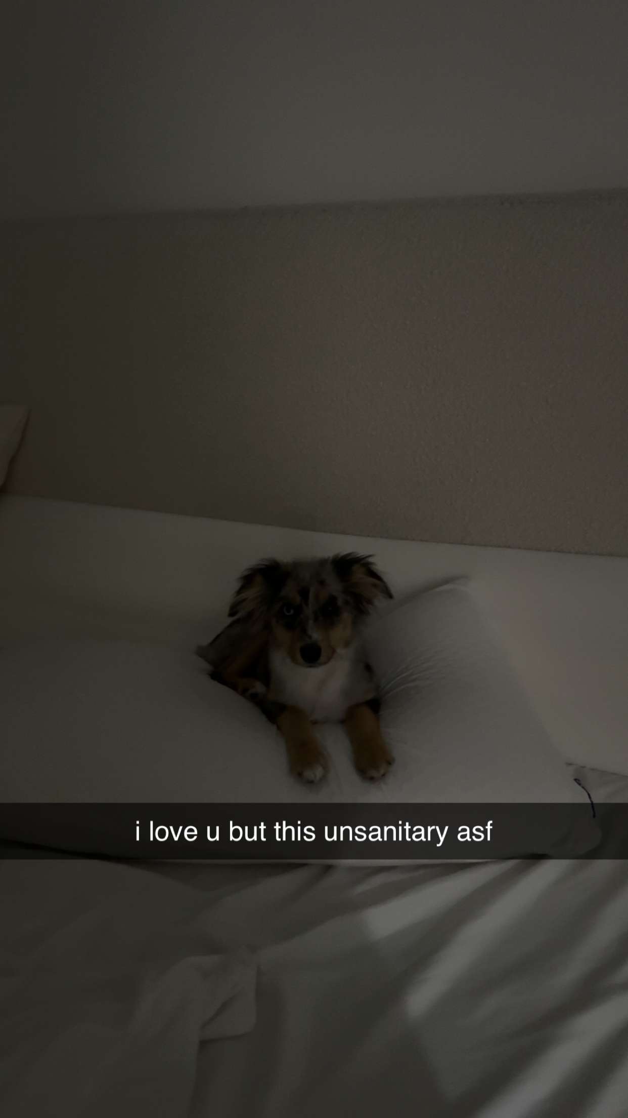 sadie.mckenna snapchat image archive image