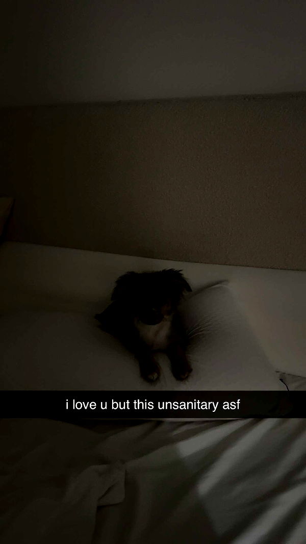 sadie.mckenna image ~ Altpins