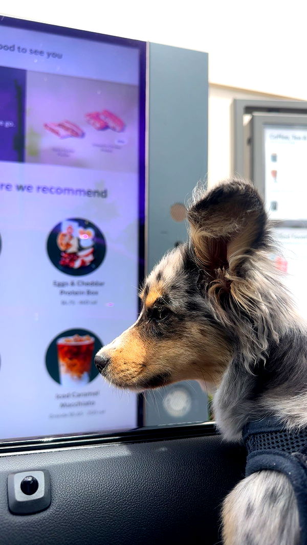 sadie.mckenna image ~ Altpins