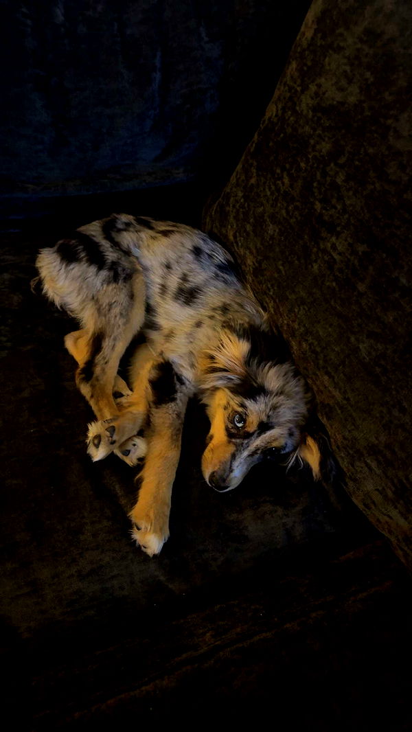 sadie.mckenna image ~ Altpins