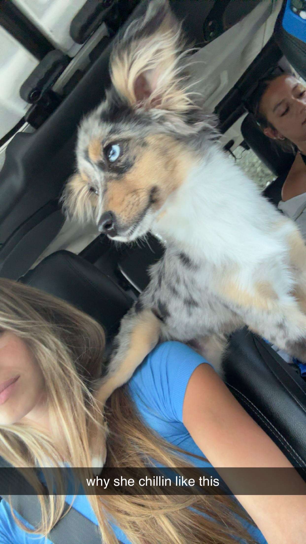 sadie.mckenna snapchat image archive image