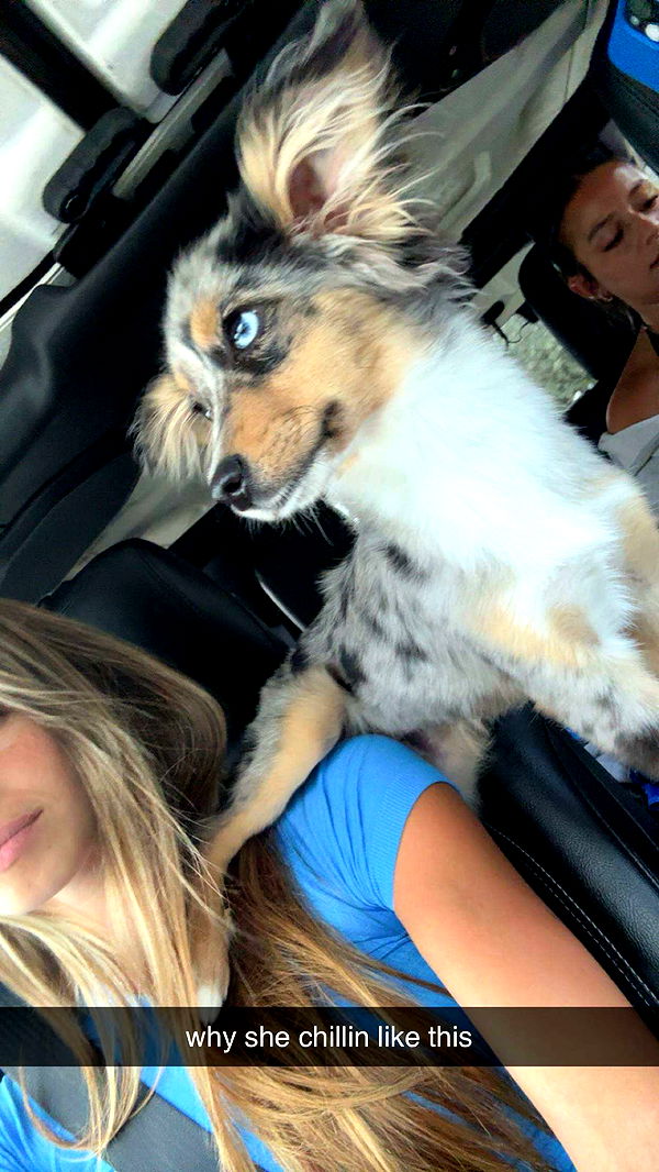 sadie.mckenna image ~ Altpins